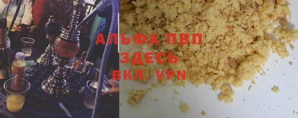 прущие грибы Михайловск