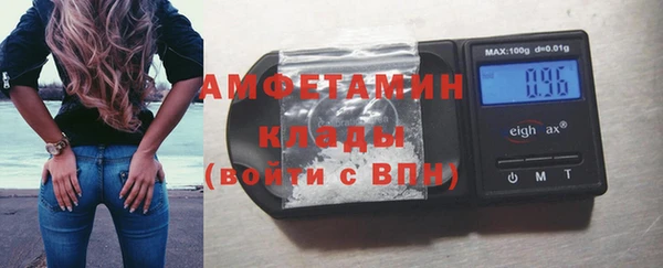 прущие грибы Михайловск