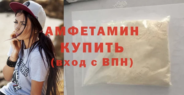 прущие грибы Михайловск