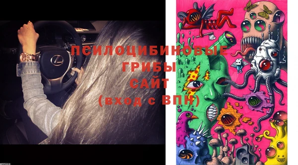 MESCALINE Апатиты