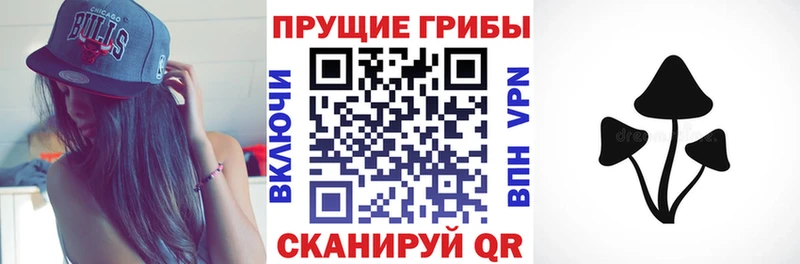 Псилоцибиновые грибы мицелий  Ивангород 